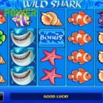 Wild Shark