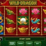 Wild Dragon